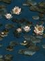 7365_2_Coordonne_Tapete_Nenúfares-Lagoon_8000003N-68428