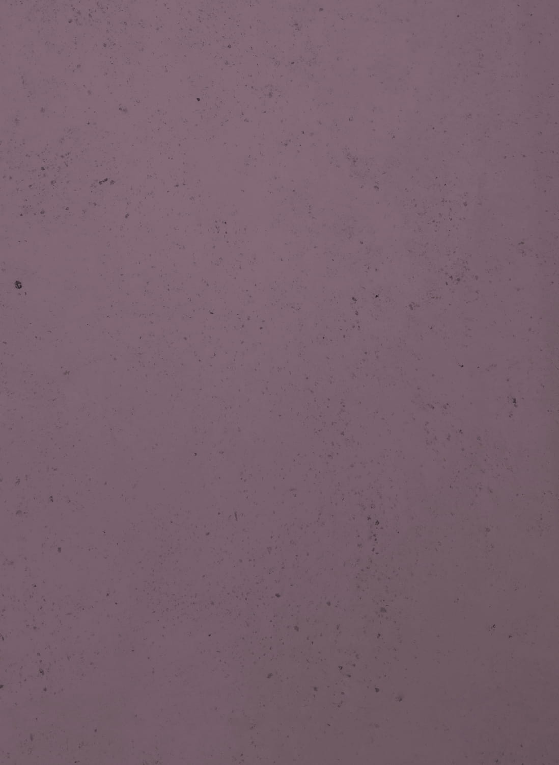Aubergine - 32