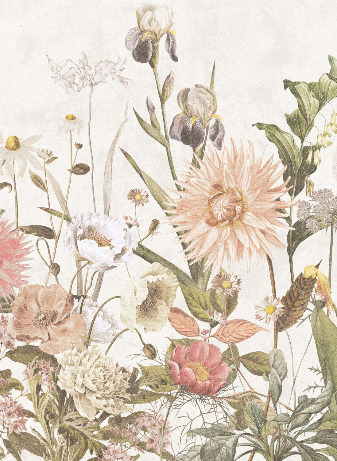 Wandbild Dahlia - 9418W