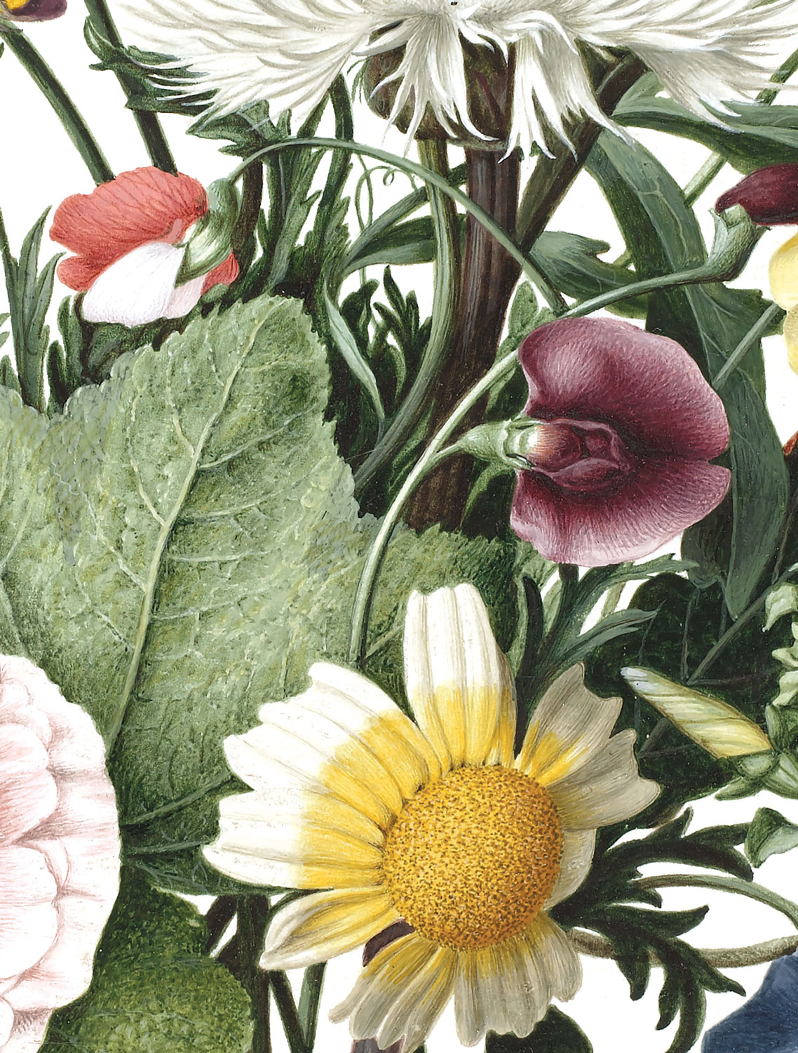 Wandbild Wild Flowers Circle - S - 1.425m