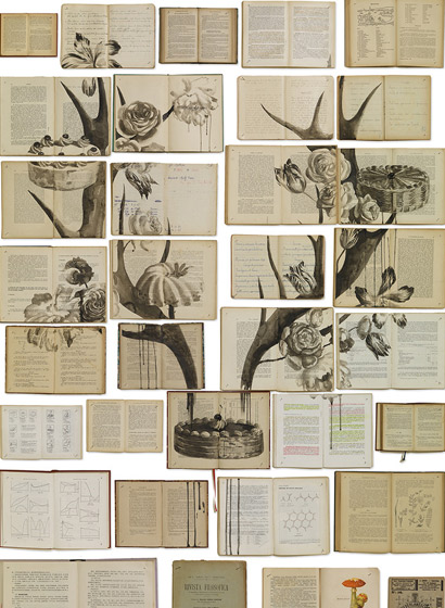 Tapete EKA-02 Bibliotheca - EKA-02