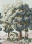 15293_03_Isidore_Leroy_Vallee_des_Peintres_6264109-182133