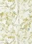 15421_03_Harlequin_Ceiba_113344-195781