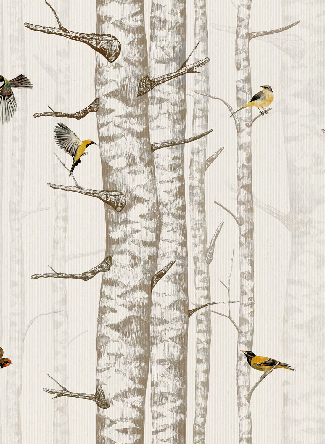 Tapete Birch Trees - Beige