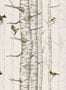 8506_2_Coordonne_Tapete_Birch_Trees_9500041-70042