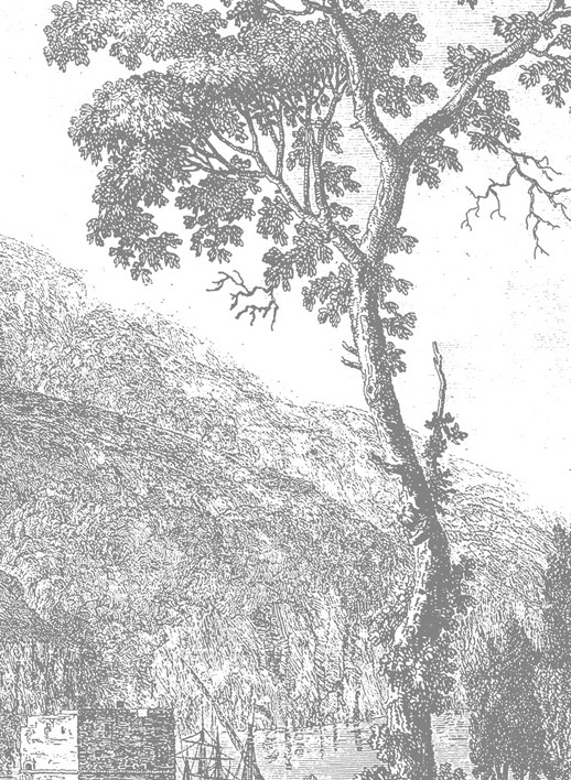 Wandbild Engraved Landscapes 1 - BW - Breite 3.896m