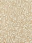 6807_2_Harlequin_Melodic_112830-87924