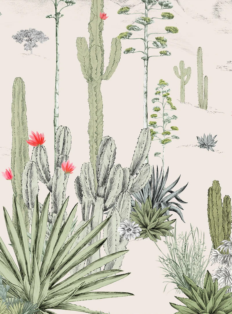 Wandbild Succulentes Pastel - Panel B