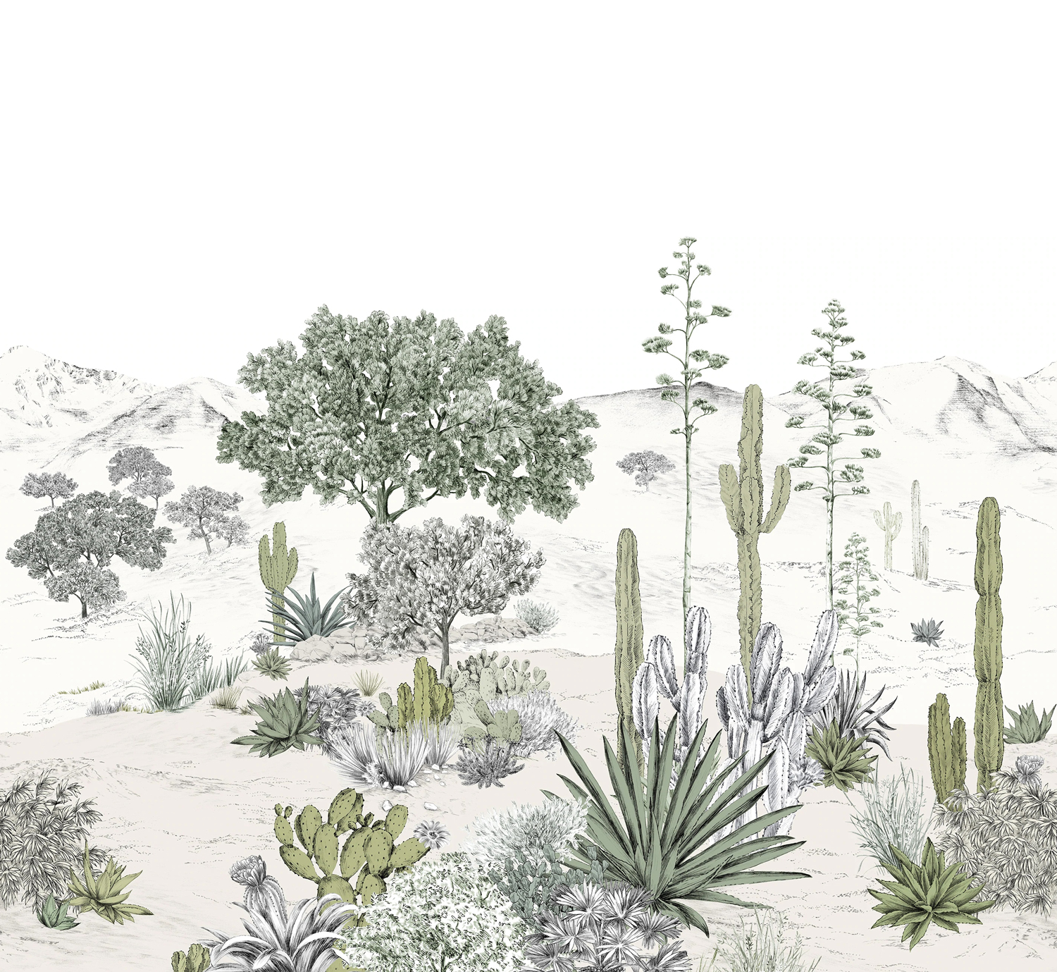 Wandbild Succulentes Naturel - Panel B