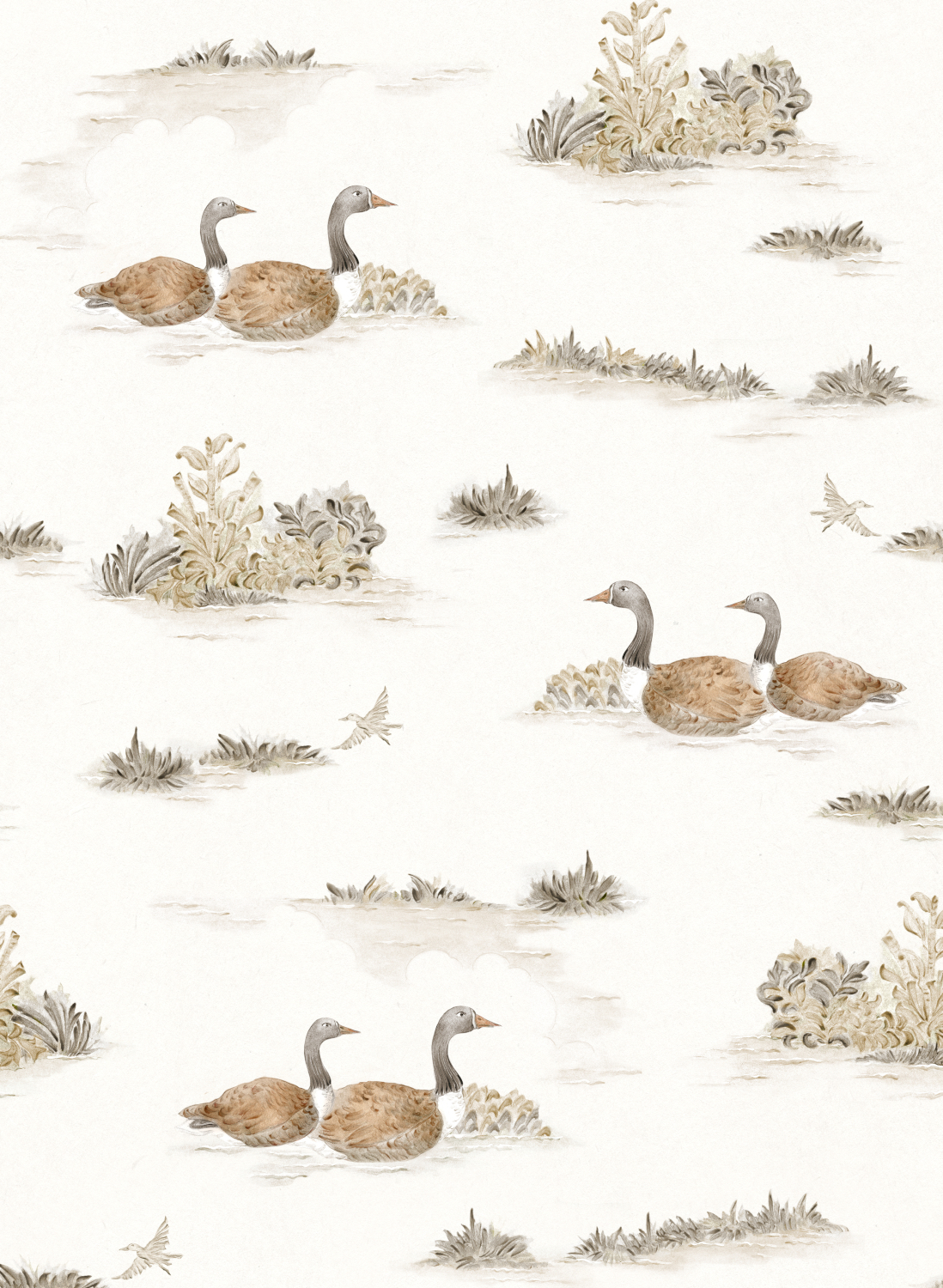 Tapete Mallard Duck - Sunny