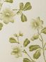 2233_1_little_greene_london_broadwick_street_garden-24640