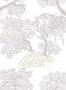 4637_2_isidore_leroy_jardin_dasie_falaise_6240501-57867