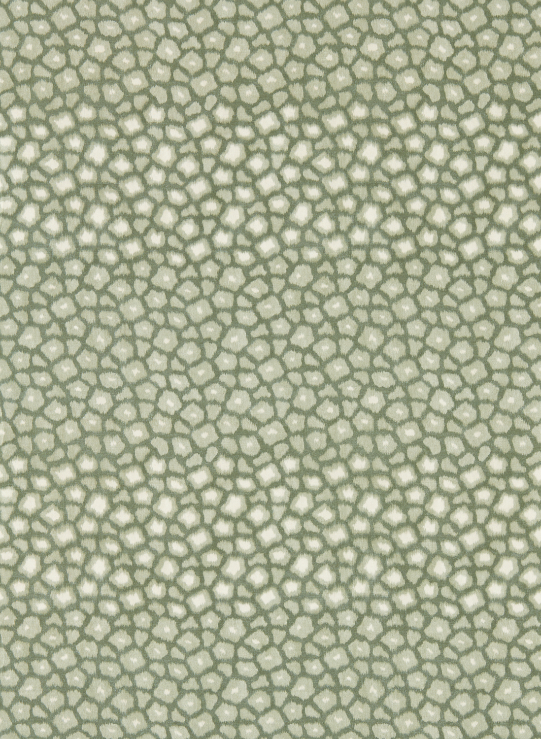 Tapete Loam - Evergreen