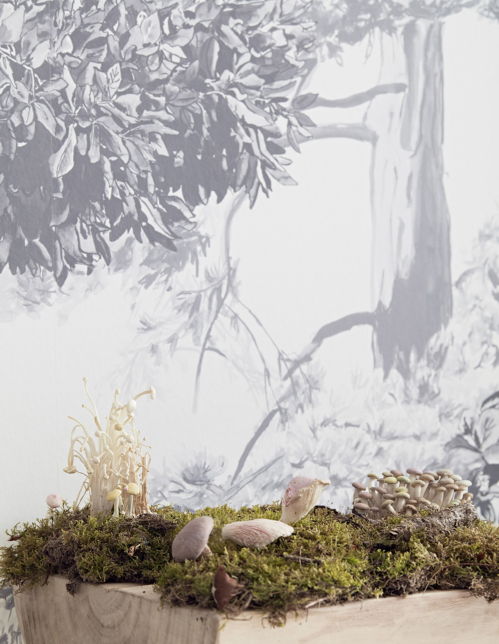 Wandbild Hua Trees - Grey