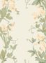 17436_01_Farrow-and-Ball_Sweet-Pea_6701-204155