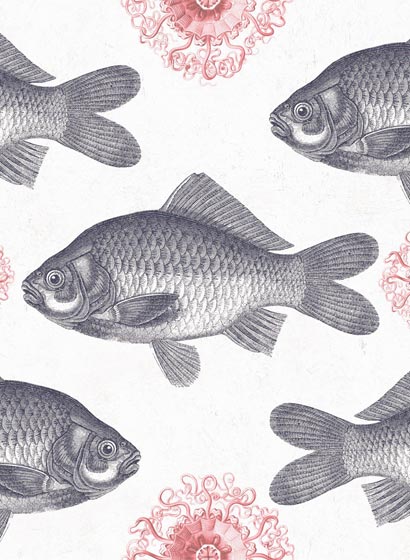 Tapete Fish - WP20008