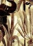 6896_2_Elitis_Bel_Ami_DM_900_01_L02-86963
