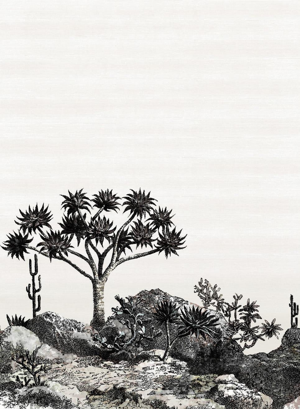Wandbild Yucca - PAN211