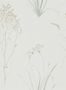 3681_2_sanderson_farne-grasses_216487-30350