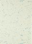 18098_03_Harlequin_Moho_113318-174147