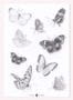 9761_3_Sian-Zeng_Butterfly-100306