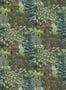 6723_1_Josephine_Munsey_Miserden_Trees_101801-80725