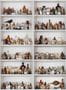 2685_1_rebel_walls_cabinet_of_curios_r14181-26450