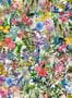 6685_1_Rebel-Walls_Poppy-Meadow_PR18121-81264