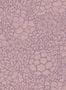 17055_06_Eijffinger_Groovy_5_340555-143127