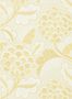 7623_1_Harlequin_Flourish_112935-96360