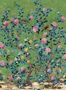 19515_04_Thibaut_Jardin_Bloom_T13669-191461