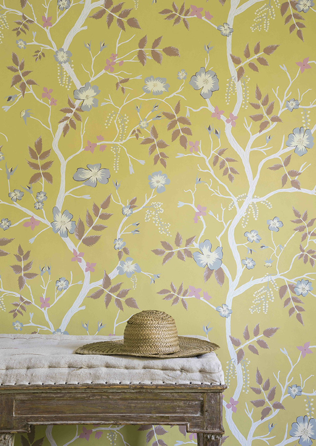 Wallpaper Cinda's Roses - Sunshine