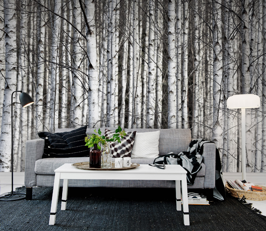 Wandbild Birch Trunks