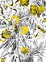 4481_1_edmond_petit_feu_d_artifice_rm102-01-53957