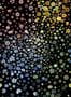 6739_1_Christian_Lacroix_Jardin_des_Hesperides_PCL7040-01-85051
