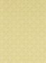 18036_05_Zoffany_Floral_Tracery_313090-161127