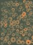 9291_5_Coordonne_Cellular-Patterns_Amber_A00156-80076
