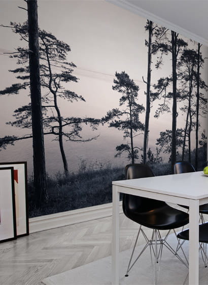 Wandbild Old Pine Trees