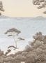 7740_10_Isidore_Leroy_Port_Cros_6249419-105788