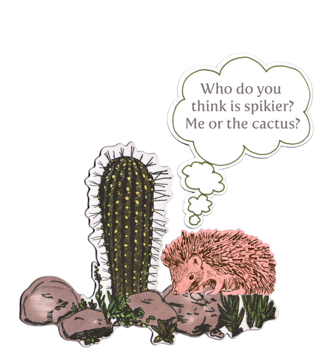 Magnet Cactus