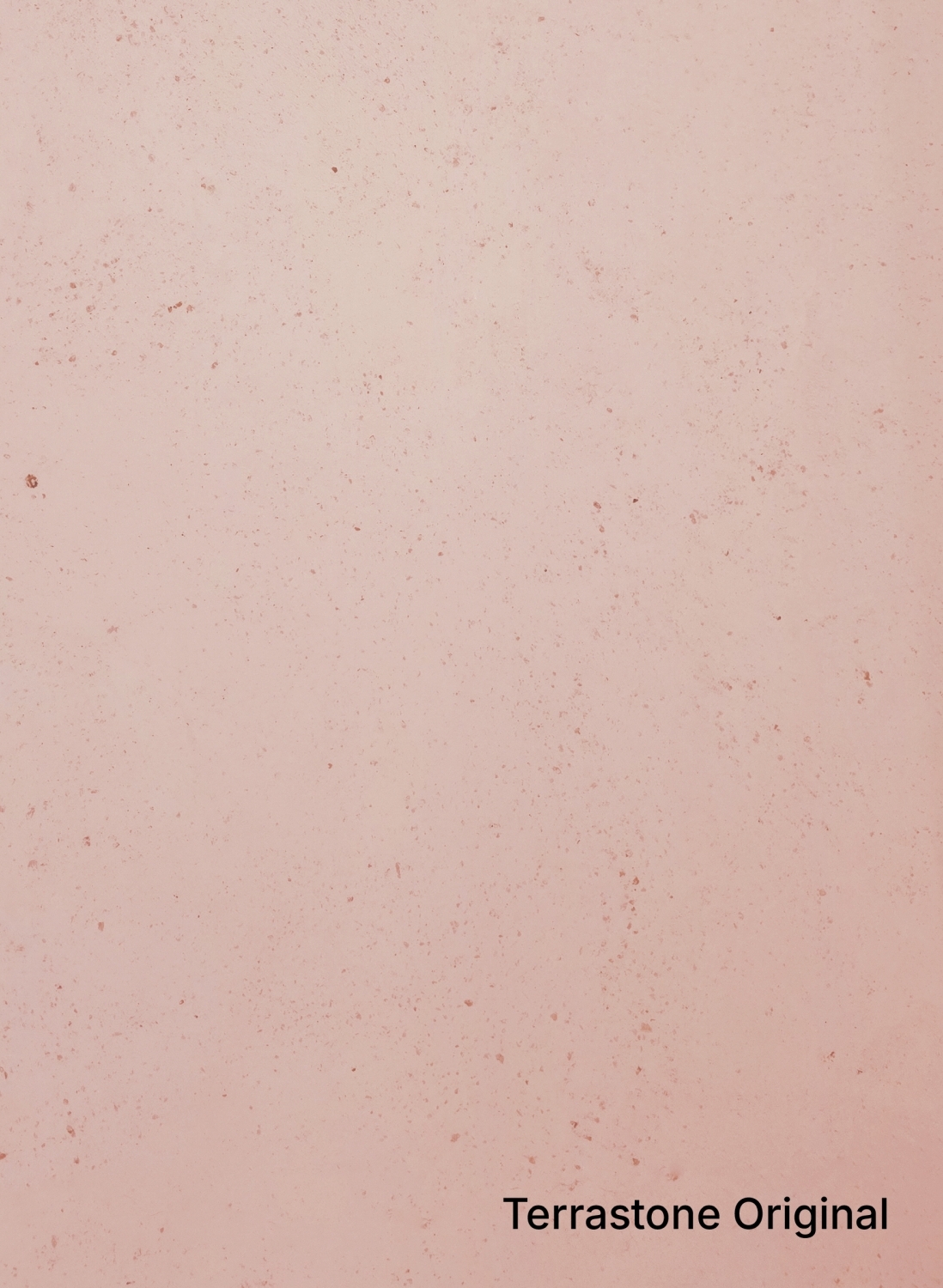 Rosa Cipria - 1