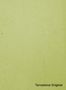 Terrastone-Original-27-Limone-Bathroom-colour-sample-named-190985