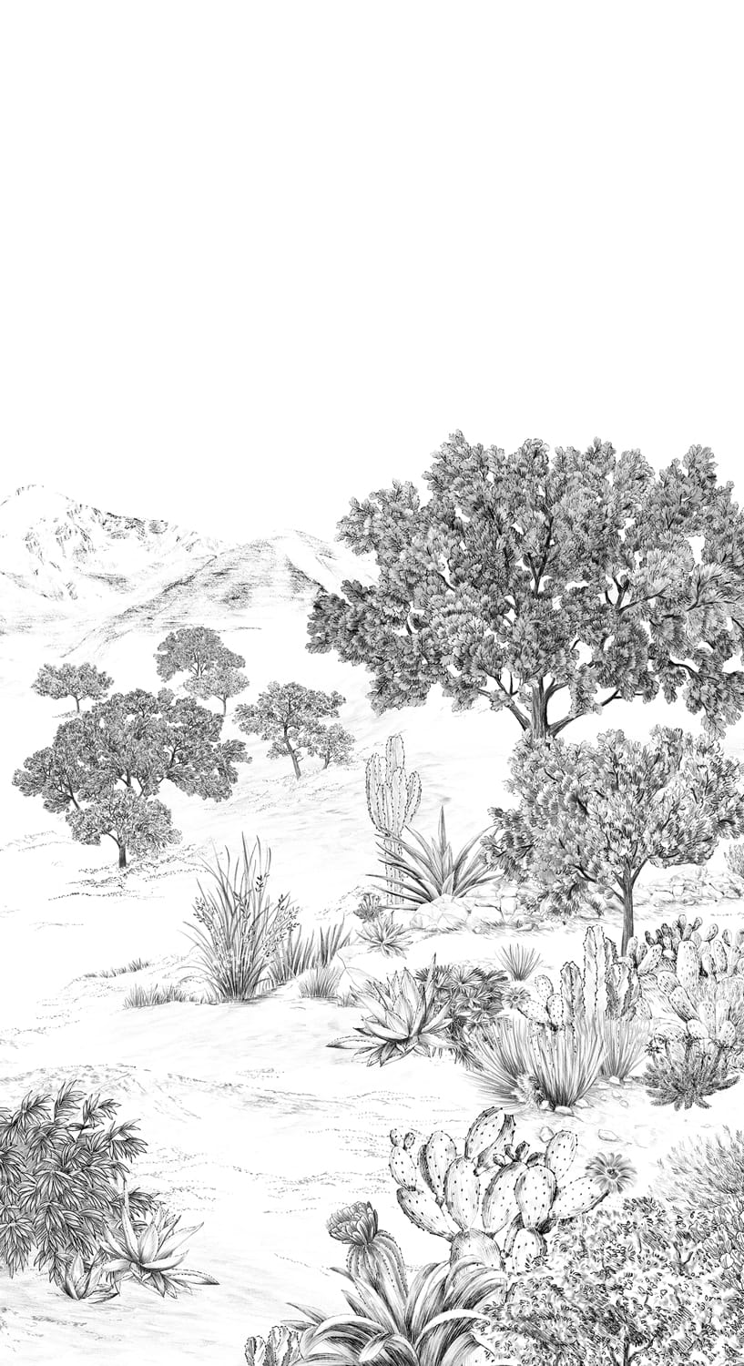Wandbild Succulentes Grisaille - Panel A