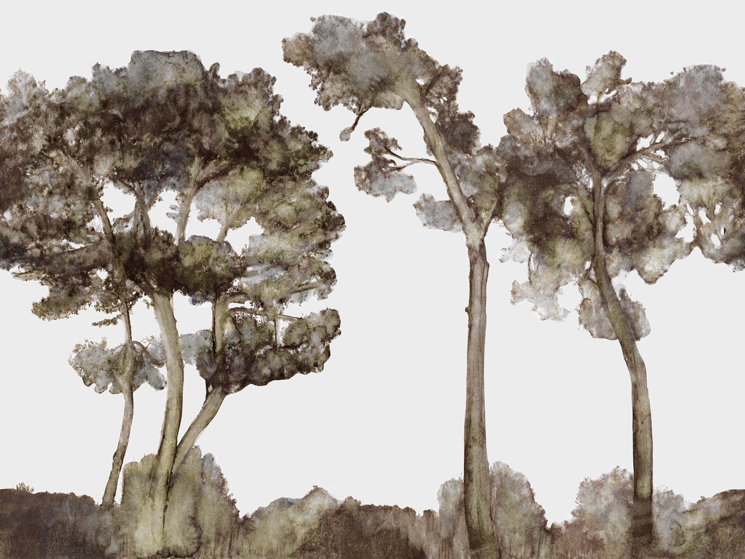 Wandbild Canopy - Arizona