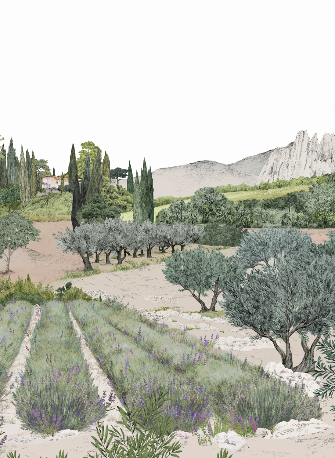 Wandbild Provence - Printemps Panel B