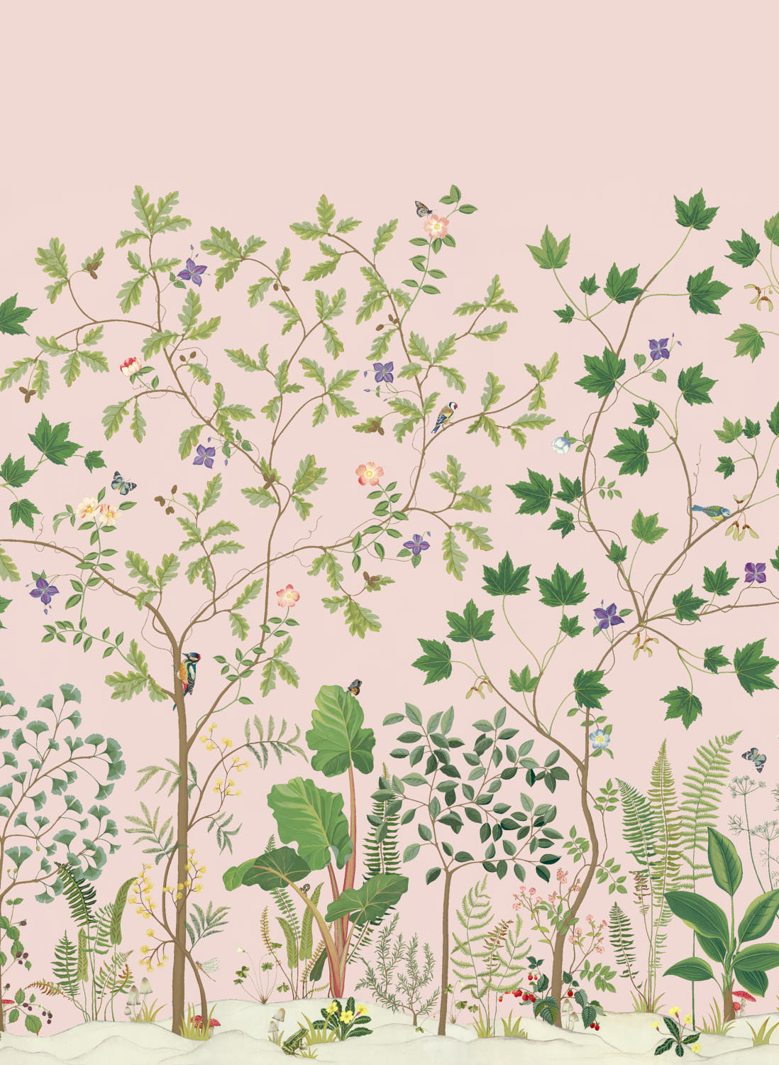 Wandbild Sycamore and Oak - Wild Rose
