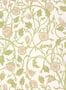 19155_02_Little_Greene_Mays_Tulip_0234MTCLAYZ-195389