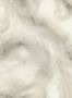 19506_03_Clarke_and_Clarke_Viento_W0170-03-194800