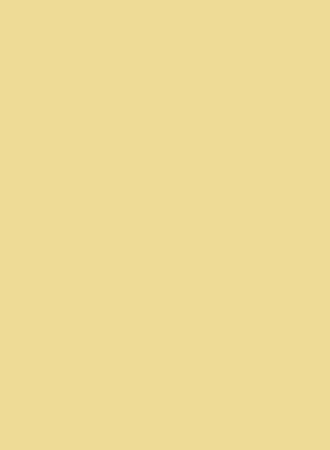 Intelligent All Surface Primer - Jersey Cream 43