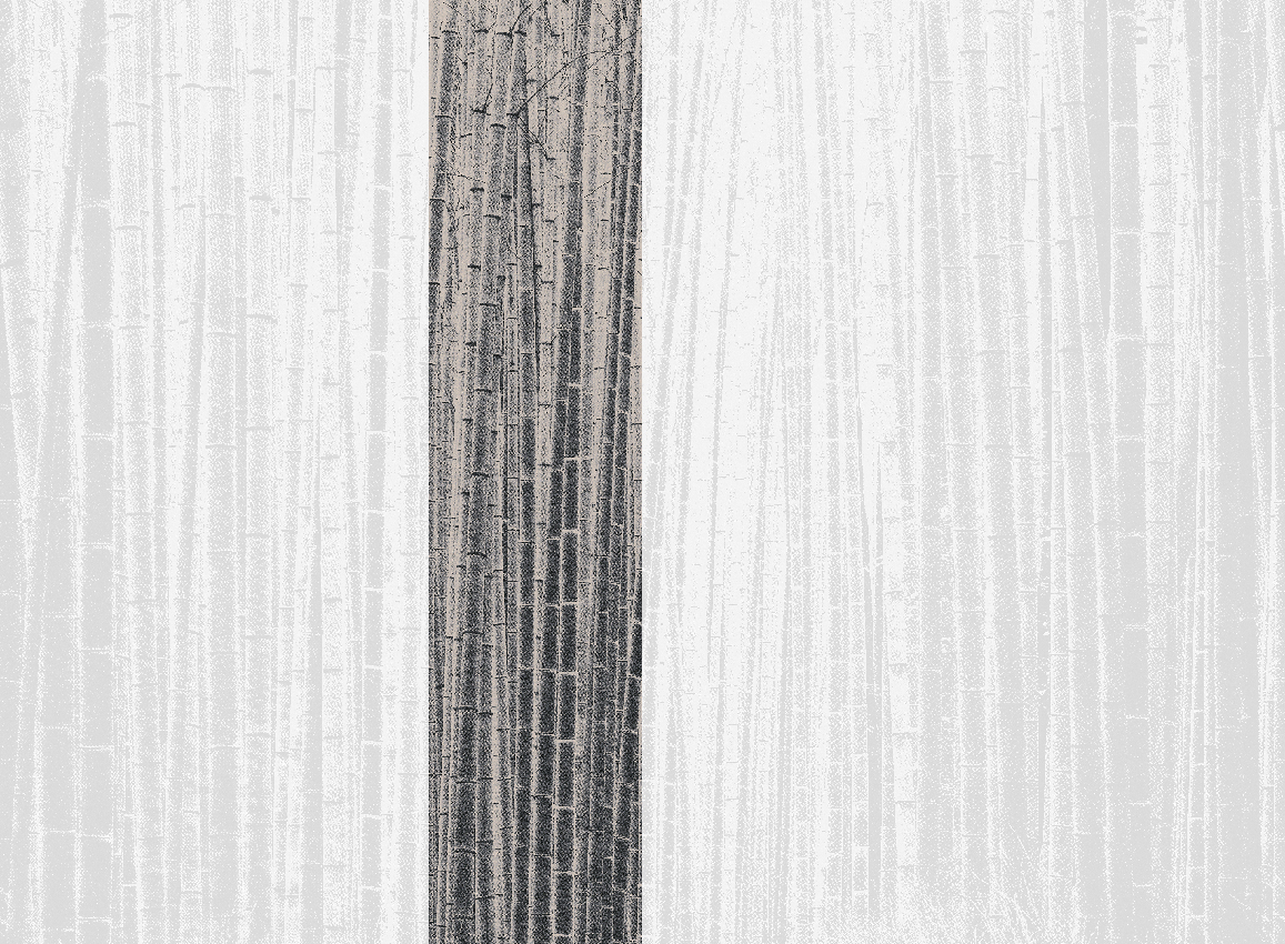 Wandbild Arashiyama - Black Panel 3